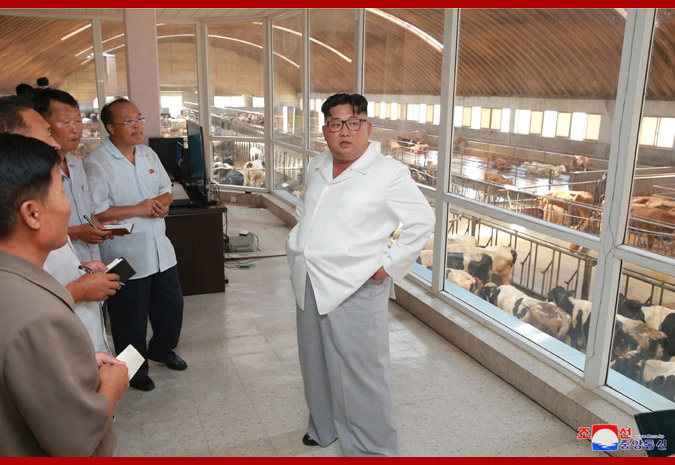 Ким Чен Ын в животноводческом комплексе в районе Унгок 3